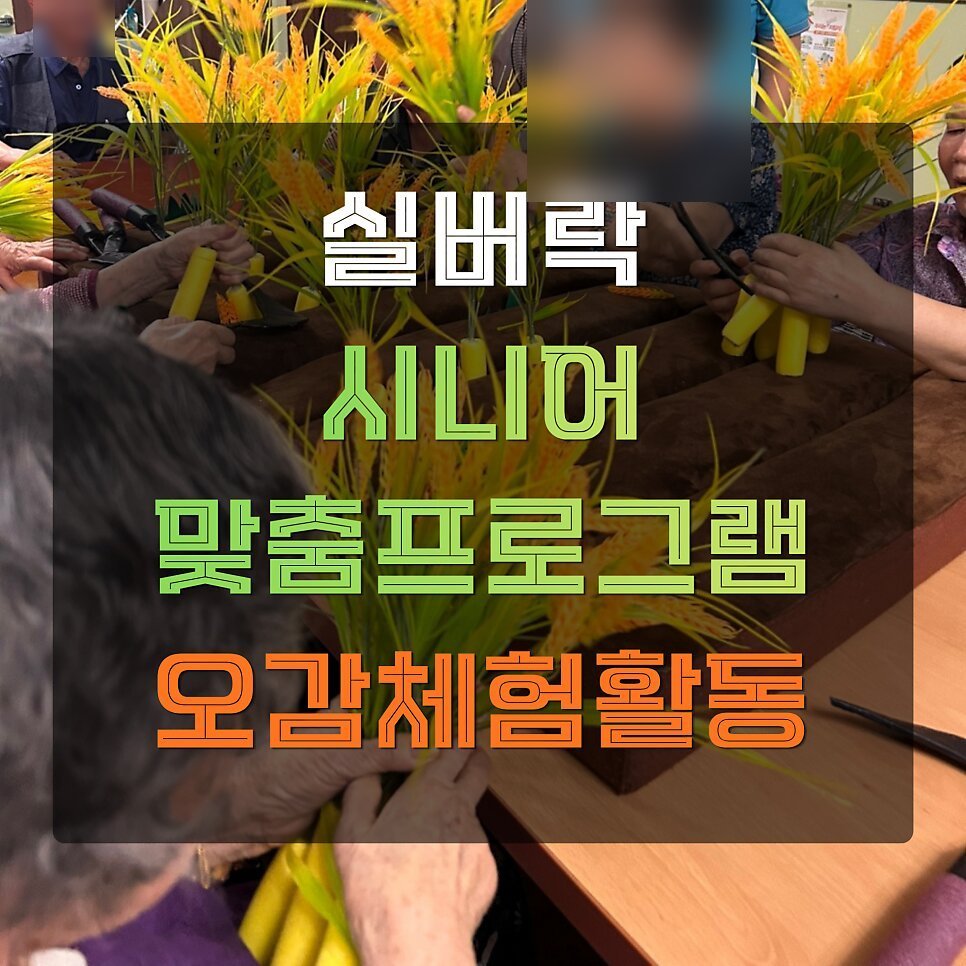 오감체험 활동